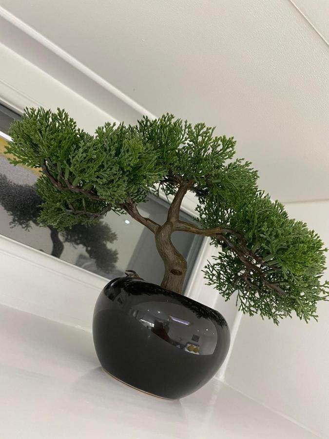 Balco Sherwood *